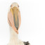 Close-up of the front of the Pelican's head and neck.
