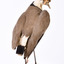 Rear of a Masked Lapwing with head looking front right and wings slightly elevated.