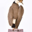 Rear of a Masked Lapwing. Wings are slightly elevated and head is looking towards the front right