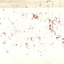 Reverse side of this drawing