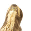 Close up of the Australaisn Bittern head facing forwards