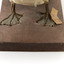Close up of Darter's webbed feet standing on a pedestal. Paper tags are attached to left leg.