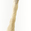 Close up of the neck/head of the Darter looking to the front