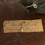 Paper tag reading "9a Musk Duck. See Catalogue, page, 39."