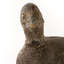 Close up of the front of the Musk Duck