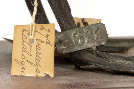 Close up of the paper and metal tag