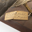 Close up of the paper tag attached to the leg of the Grey Petrel