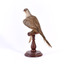 Rear of a Diamond Dove sitting on a wooden perch and facing left