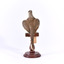 Rear of the Diamond Dove sitting on a perch with wings slightly elevated