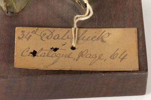 Close up of paper tag