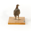 Rear of the Buff-Banded Rail