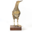 Australian Spotted Crake standing front on and looking towards its left