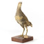 Australian Spotted Crake standing front left and looking to its left