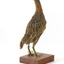 Rear of an Australian Spotted Crake facing top left