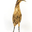 An Australasian Bittern standing front on and looking towards the left