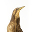 Australasian Bittern standing on mount looking towards the left