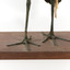 White-Necked Heron standing on wooden mount looking left