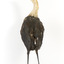 White-Neck Heron standing on wooden mount looking left