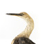 White-Neck Heron standing on wooden mount looking left