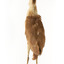 Nankeen Night Heron standing on wooden mount facing forward