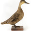 Pacific Black Duck standing on wooden mount looking forwards 