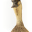 Pacific Black Duck standing on wooden mount looking forwards 