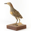 Buff-Banded Rail bird standing on a wooden platform facing forward