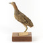 Buff-Banded Rail bird standing on a wooden platform facing forward