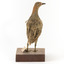 Buff-Banded Rail bird standing on a wooden platform facing forward