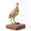 Buff-Banded Rail bird standing on a wooden platform facing forward