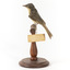 Satin Flycatcher standing on wooden perch facing forward