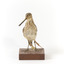 Latham's Snipe bird standing on wooden mount facing forward