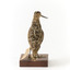 Latham's Snipe bird standing on wooden mount facing forward