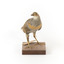 Buff-Banded Rail standing on wooden mount leaning forwards 