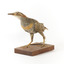 Buff-Banded Rail standing on wooden mount leaning forwards 
