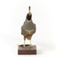 Californian Scrib Wren / Californian Quail standing on wooden mount facing forward