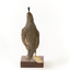 Californian Scrib Wren / Californian Quail standing on wooden mount facing forward