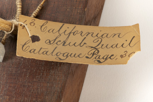 Image of swing-tag, see transcription 