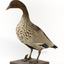 Male wood duck standing on wooden mount looking towards the right