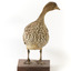 Female wood duck standing on wooden mount looking towards back-left