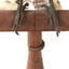 Belted Kingfisher standing on wooden perch facing forward