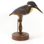 Azure Kingfisher standing on wooden perch facing forward
