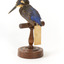 Azure Kingfisher standing on wooden perch facing forward