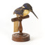 Azure Kingfisher standing on wooden perch facing forward