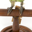 Musk Lorikeet standing on wooden perch facing forward