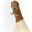 Red Necked Avocat standing on a wooden platform facing forward with a paper tag tied around left leg.
