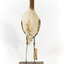 Red Necked Avocat standing on a wooden platform facing forward with a paper tag tied around left leg.