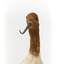 Red Necked Avocat standing on a wooden platform facing forward with a paper tag tied around left leg.