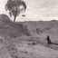 Image of a miner sluicing a high bank of dirt with a hose. There is a tree on the bank of dirt. Cropped view.