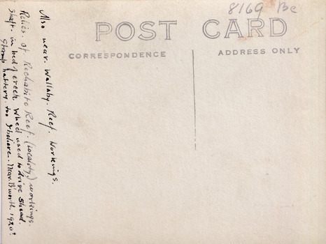 Reverse of postcard. Original script message on left side. Small identification number on top right corner.